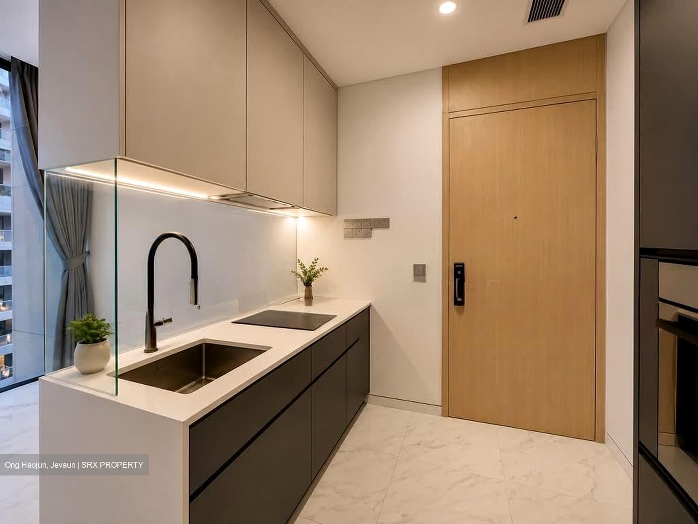 Scotts Road (D9), Condominium #565598471